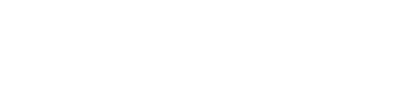 Emory Logo