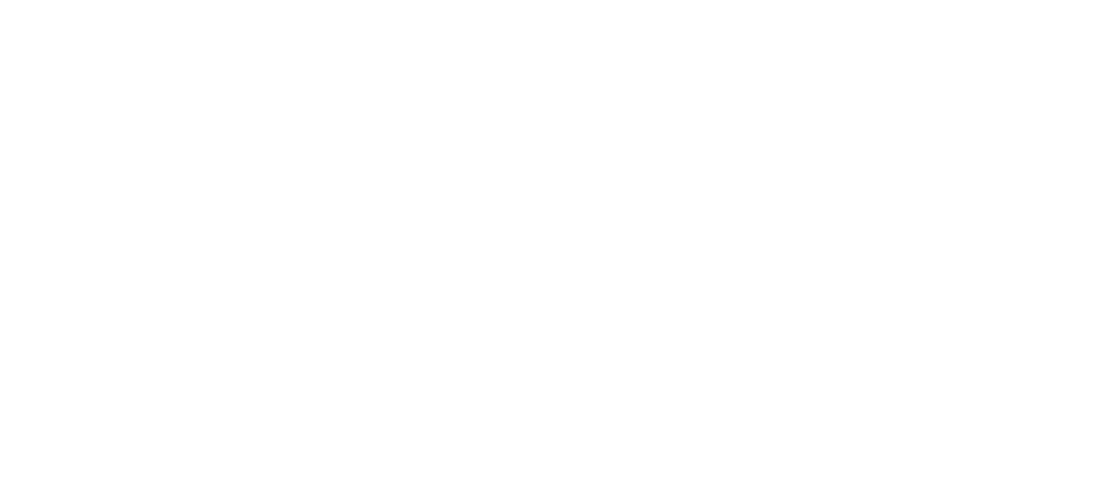 Epilepsy Foundation Logo