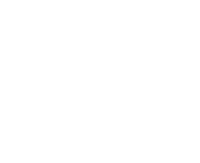 Georgia State Logo